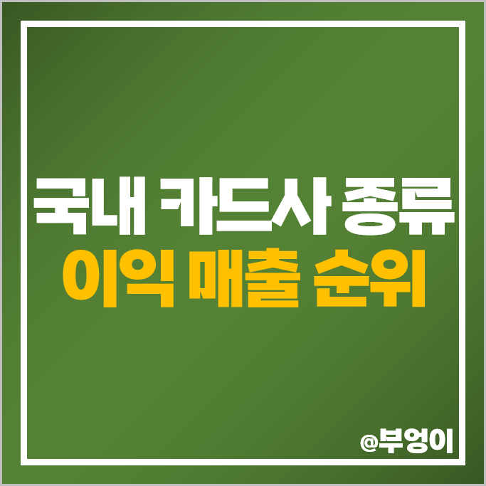 국내 카드사 순위 신용 카드회사 종류 매출 이익 자본금 연체채권비율 국내 카드사 순위 신용 카드회사 종류 매출 이익 자본금 연체채권비율