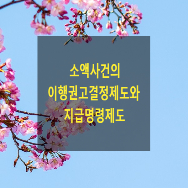  소액사건의 이행권고결정제도와 지급명령제도
