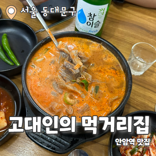  고대인의 먹거리집 : 술이 술술들어가는 안암술국 맛집 내돈내산 후기 (서비스 최고)
