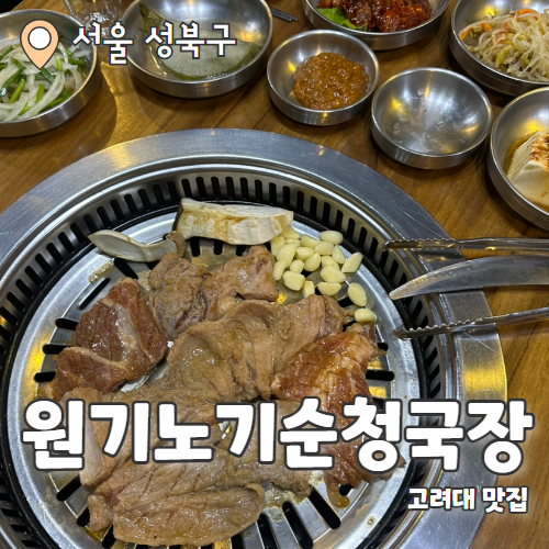  원진노기순청국장 : 돼지갈비와 청국장이 맛있는 안암역고기집 내돈내산 후기