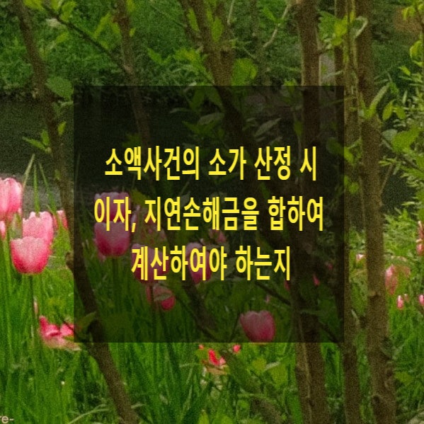  소액사건의 소가(3,000만원) 산정 시 이자, 지연손해금을 합하여 계산하여야 하는지