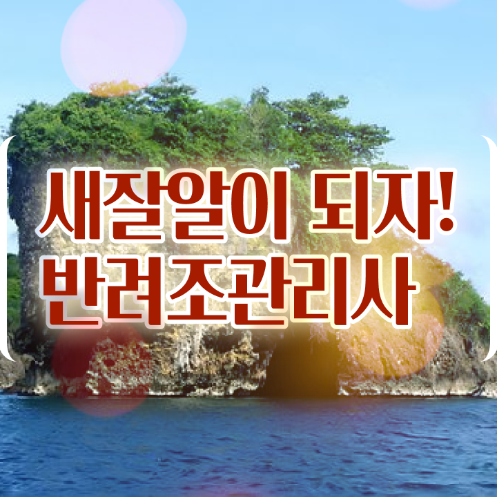  모란앵무 새끼 , 반려조관리사 자격증 합격한 후기 확인하고 가세요