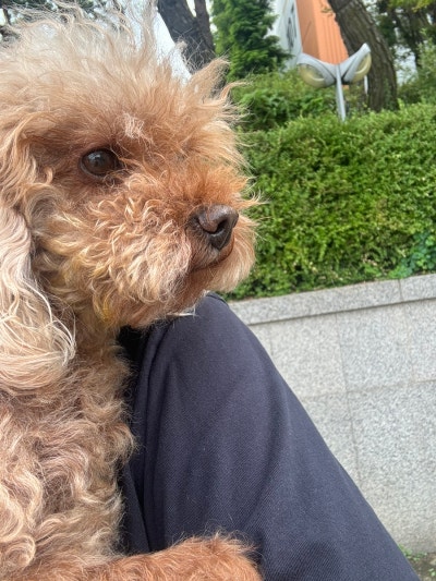 사진 3