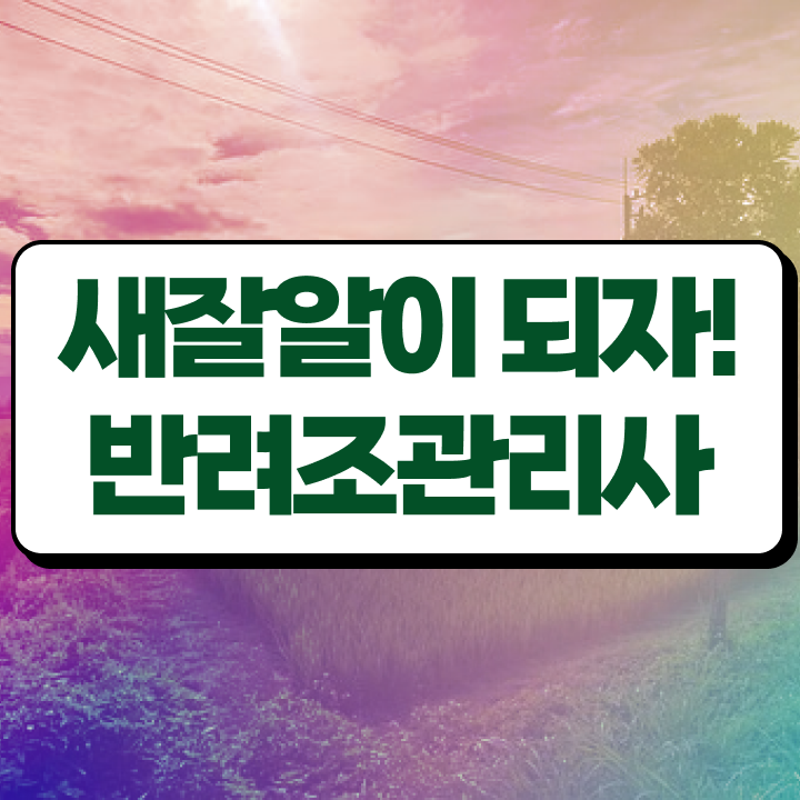 말하는 앵무새 종류 , 반려조관리사 자격증 2주 만에 합격한 비법 정리했어요