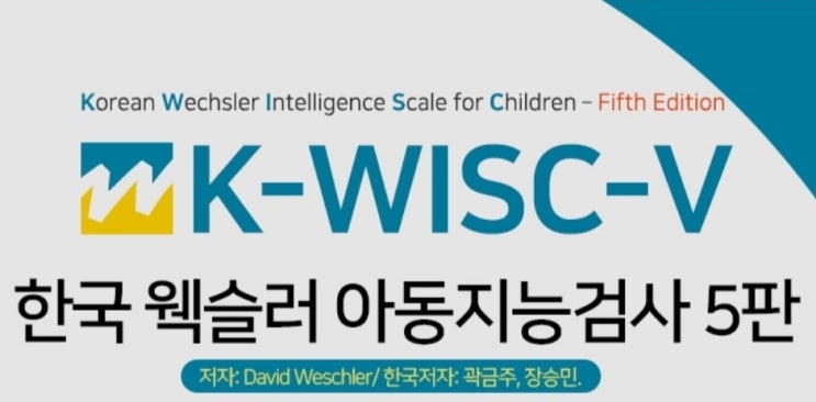  웩슬러 지능검사 후기.(WISC V)