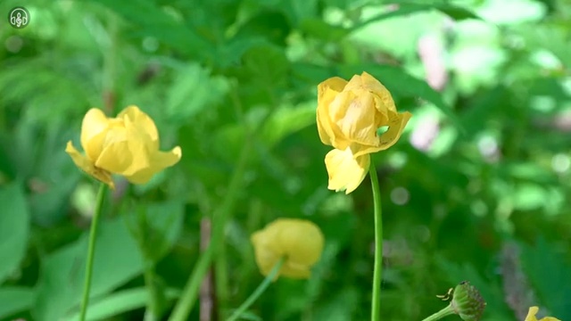  건물미화관리사 , 집합건물관리사 자격증 단기간에 합격한 팁 , 채용 정보
