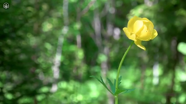  병원웃음코디네이터 , 병원코디네이터 자격증 온라인으로 합격한 전략 요점정리