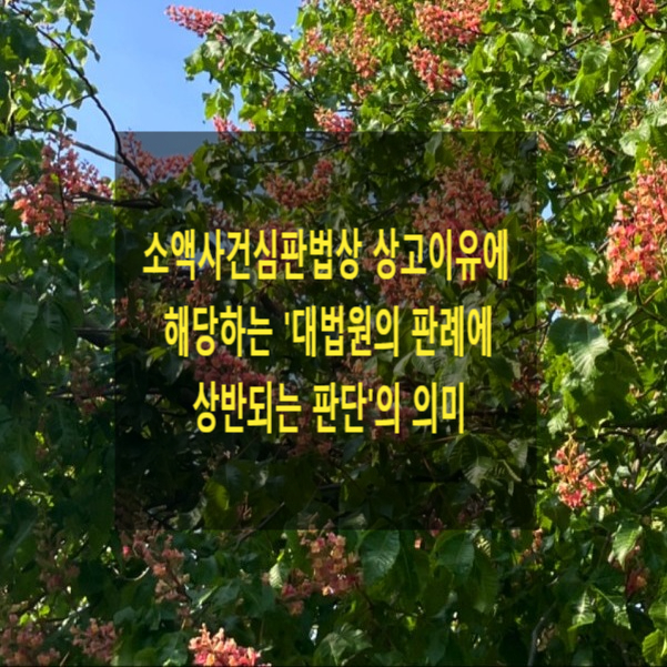  소액사건심판법상 상고이유에 해당하는 '대법원의 판례에 상반되는 판단'의 의미(임원, 이사장 근로기준법 적용여부, 채권양도)