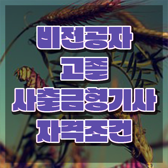  사출금형기사 응시조건 집에서 온라인으로 간편하게 준비한 노하우