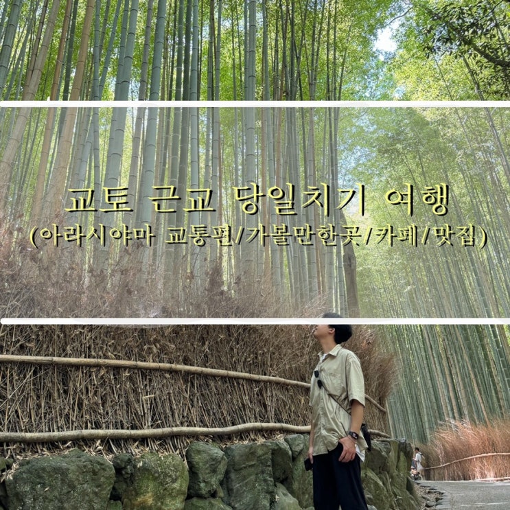  일본 아라시야마 여행 코스 대나무숲 치쿠린 텐류지 도게츠교 가는 법