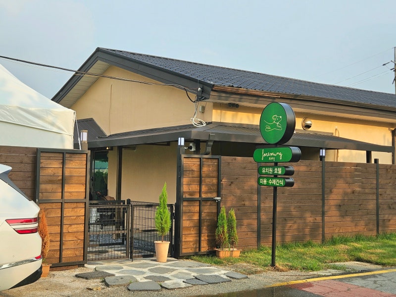사진 4