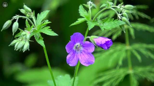  부동산 인강 , 20일 만에 부동산권리분석사자격증 준비 과정