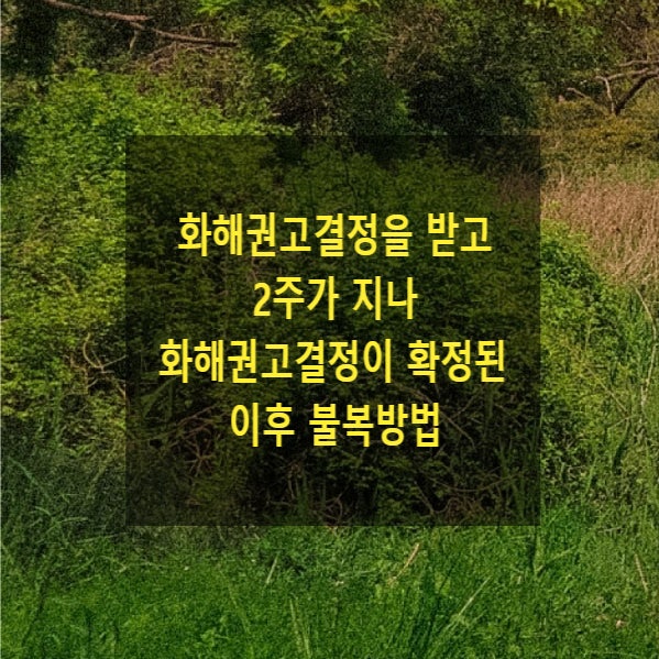  화해권고결정을 받고 2주가 지나 화해권고결정이 확정된 이후 불복방법(이의신청, 항소, 준재심, 청구이의)