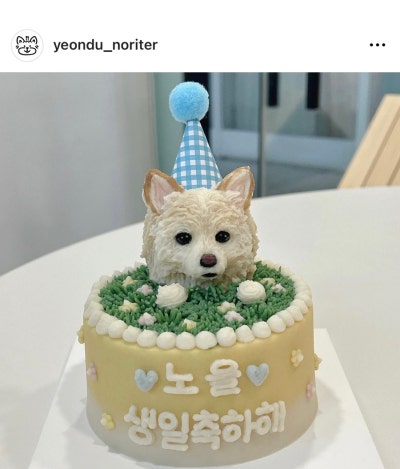 사진 6