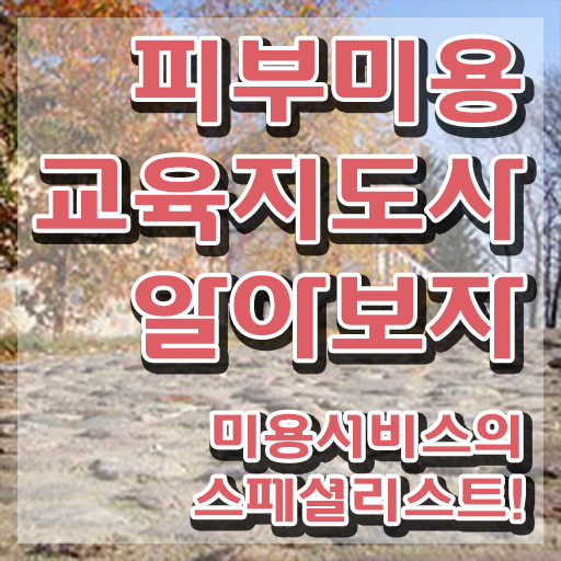  일산피부학원 , 피부미용교육지도사 자격증 온라인으로 쉽게 합격한 비법 및 구직정보
