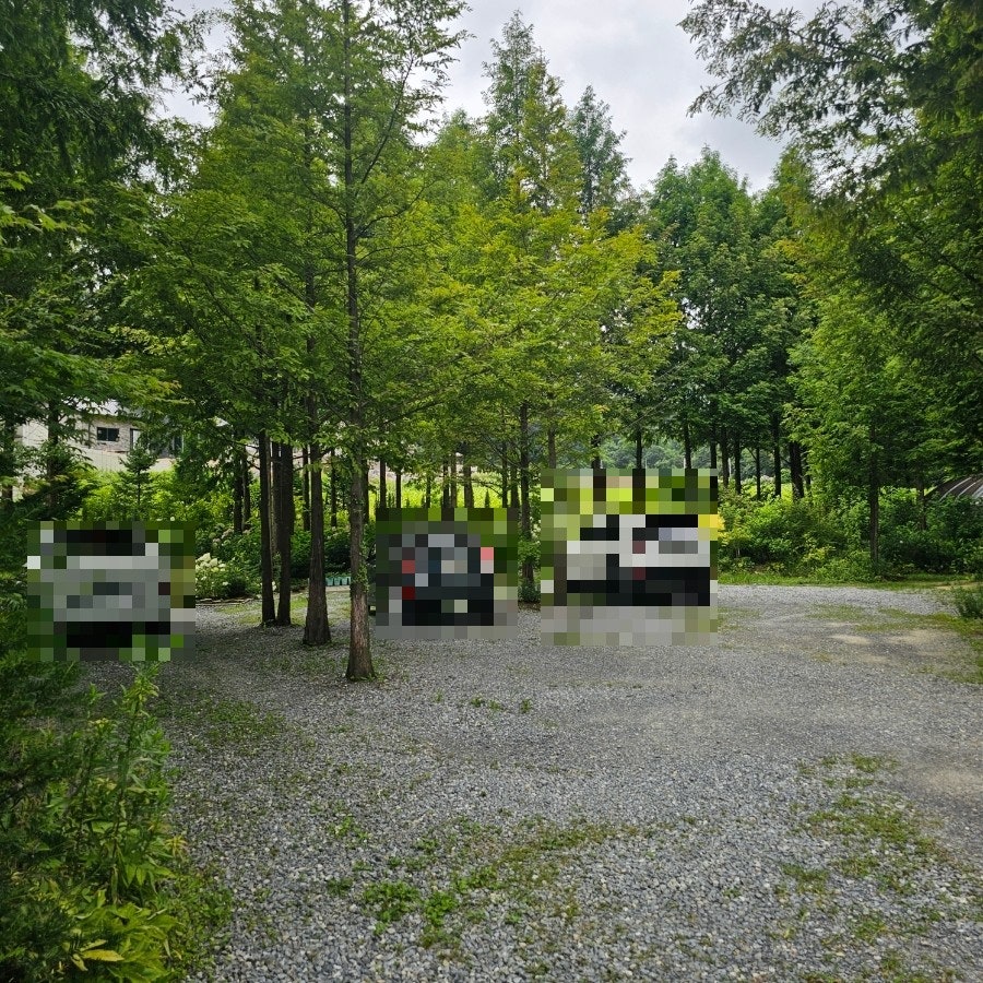 숲정원 사진 2