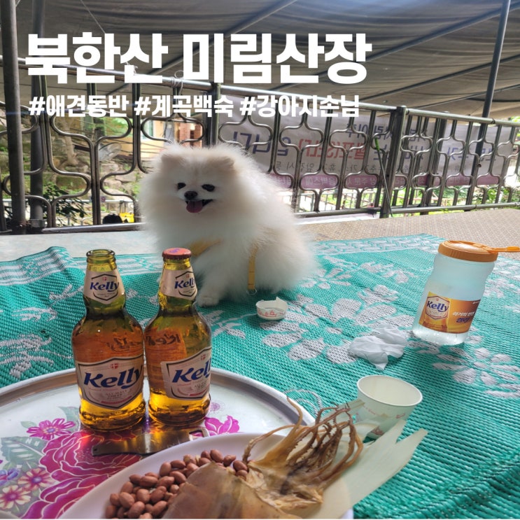  북한산 미림산장 ㅣ 애견동반 닭도리탕 웨이팅 셔틀