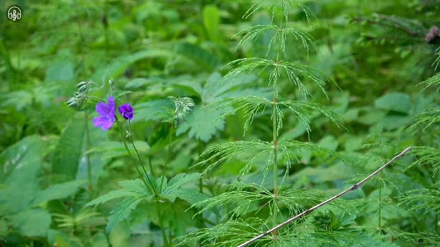  학점은행제경영전문학사 , 경영학과 인강만 듣고 독학으로 비전공 무경력자도 단기간에 준비하는 방법