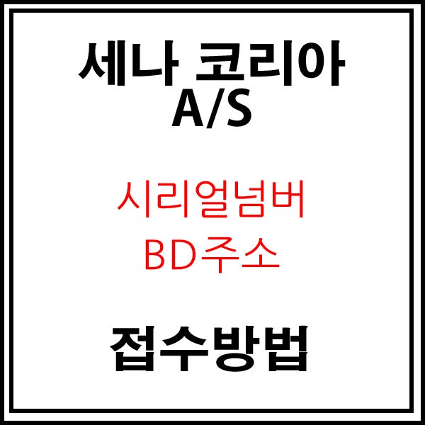  [생활정보] 세나 코리아 A/S 방법, 프로라이드 에보 고장 수리 후기!