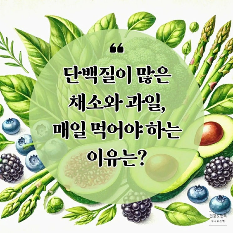  단백질 많은 채소와 과일, 매일 먹어야 하는 이유는?