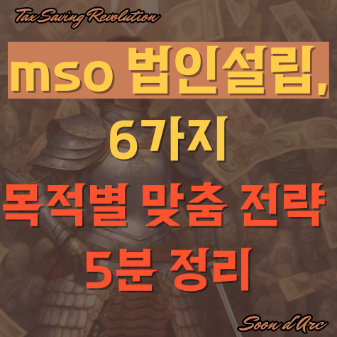  mso 법인설립, 6가지 목적별 맞춤 전략 5분 정리