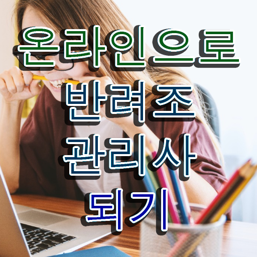  말하는 앵무새 가격 , 반려조관리사 자격증 취득한 과정 확인하고 가세요