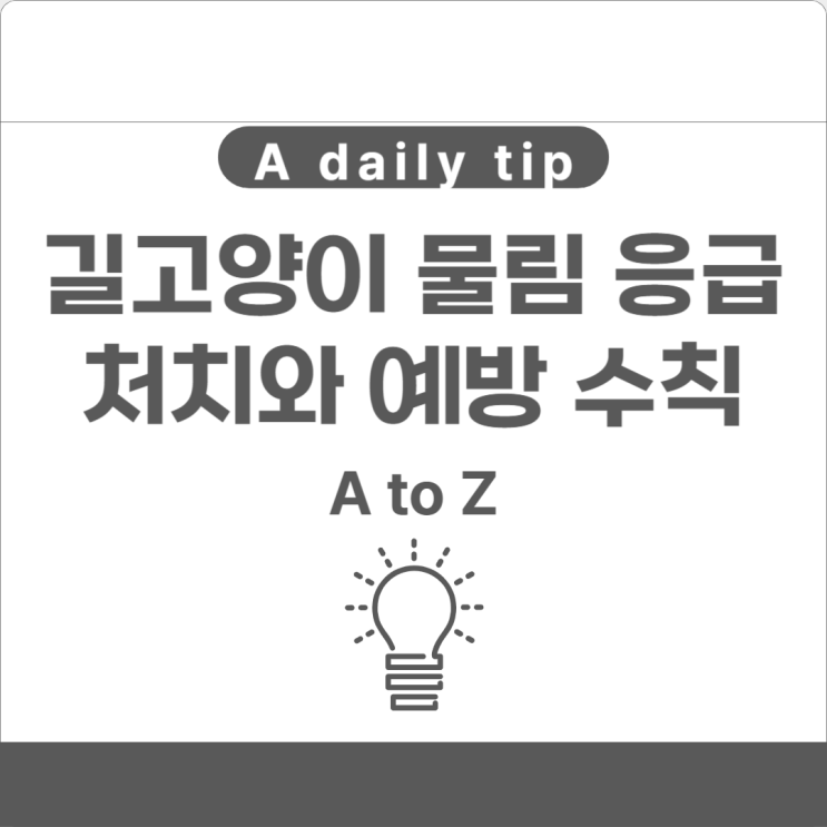  길고양이 물림 응급처치와 예방 수칙