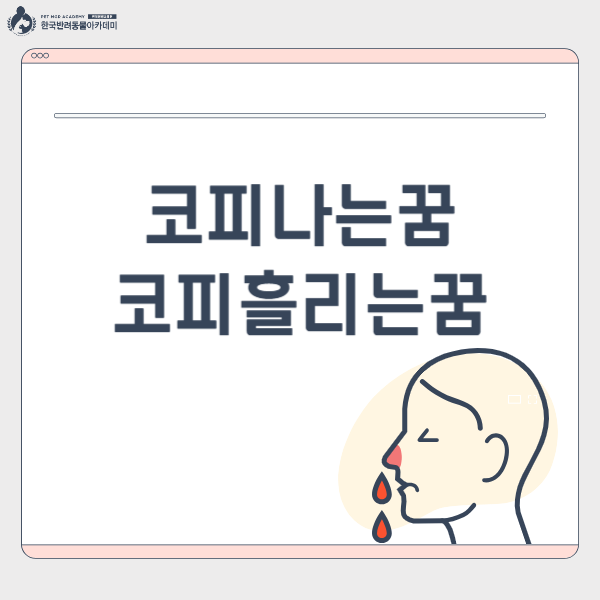 코피나는꿈 코피흘리는꿈 코피꿈 해몽 궁금하다면?
