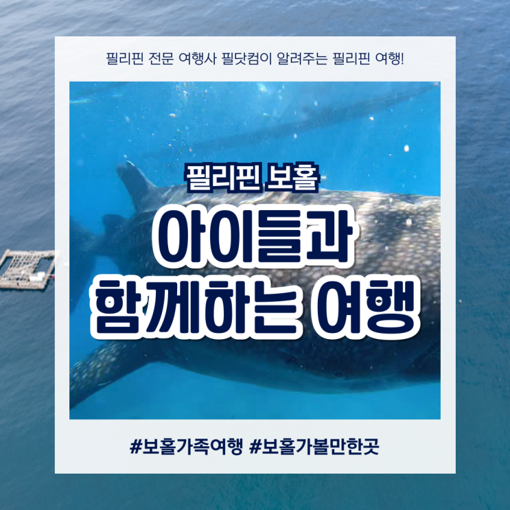  필리핀 보홀가족여행 아이들과 가볼만한곳 코스 추천