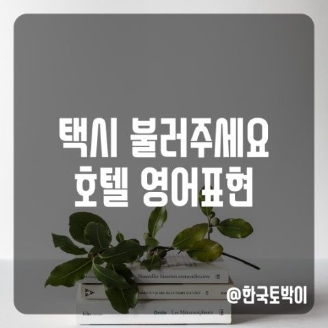  호텔 영어 - 택시 불러주세요 영어로