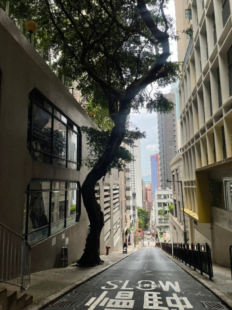 롱위캔에 다녀온 홍콩 : 네이버 블로그