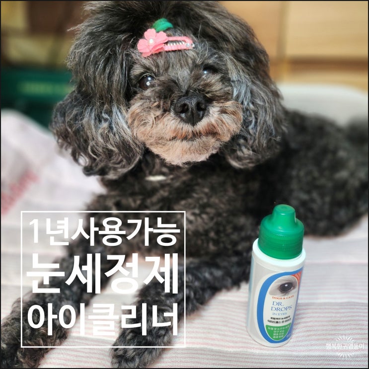  강아지 안구 세정제 닥터드롭스인아이즈  아이클리너 내돈내산