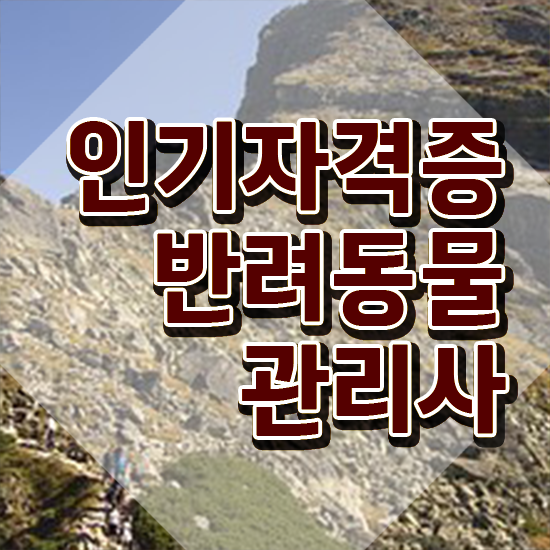  , 반려동물관리사 자격증 합격한 비법 정보 가득