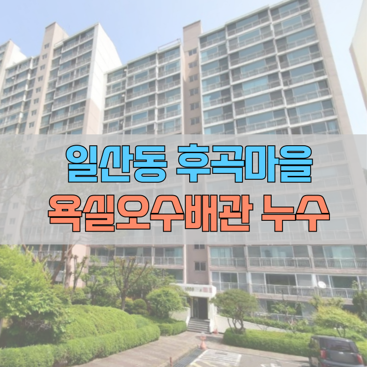  # 고양시 일산서구 일산동 후곡마을 오수 배관 누수 #