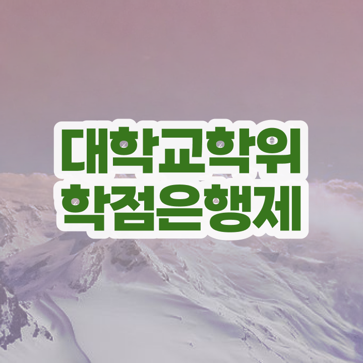  학점은행제 자격증 신청 혼자서 독학으로 초단기 준비했던 과정