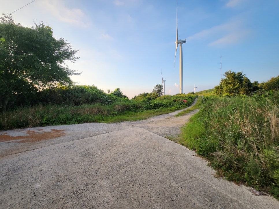 군성산 사진 4
