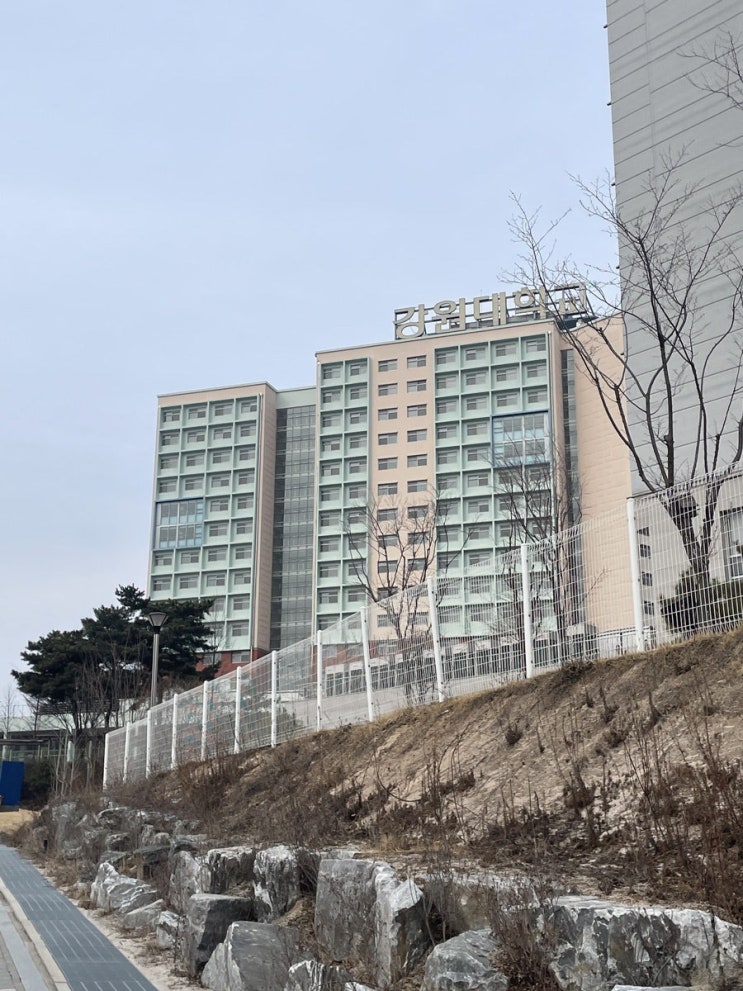  강원대학교 여자 기숙사 리뷰(장단점 총정리)