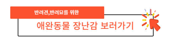  반려견 30분 장난감으로 운동세상