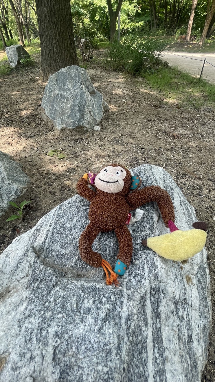  서울숲(Seoul Forest )에서 쓰레기통(Trash Bucket Finding) 찾기