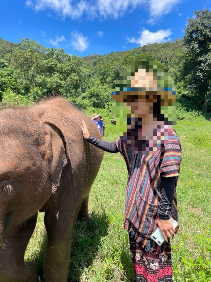  [치앙마이 7일차] 코끼리 샌츄어리 푸아텅폭포 내돈내산 투어 진심 너무우 강추