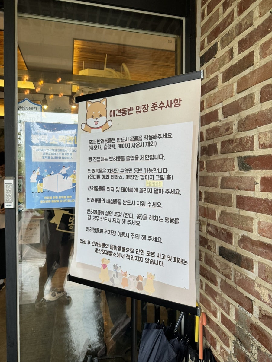 나비 사진 5