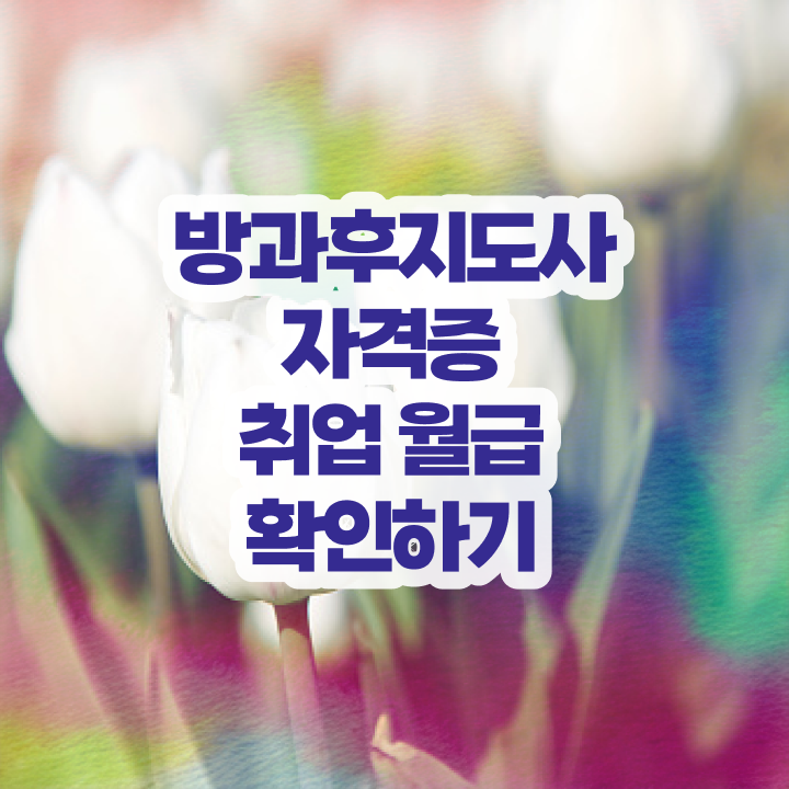  공립 유치원 방과후교사 , 20일 만에 방과후지도사자격증 준비 과정 핵심 공개