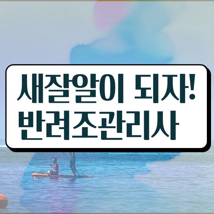  말하는 앵무새 가격 , 반려조관리사 자격증 쉽고 빠르게 취득한 노하우 핵심 정보 정리