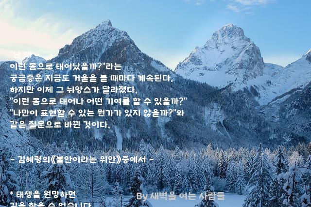 .......궁금증 .......궁금증