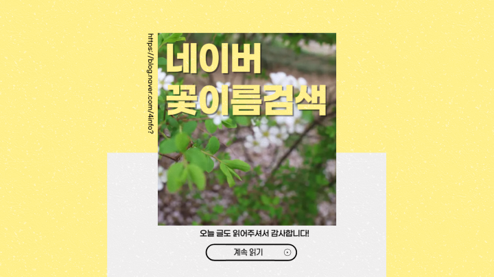 네이버 꽃이름검색으로 쉽게 꽃 이름 찾기 네이버 꽃이름검색으로 쉽게 꽃 이름 찾기