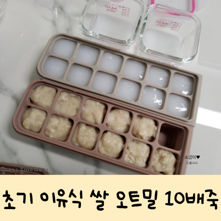쌀미음 10배죽 만들기 180일 초기 <b>이유식</b> 시작 <b>오트밀</b> 큐브 양