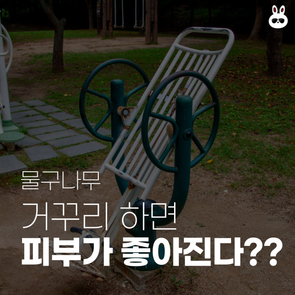  물구나무 서기 거꾸리 하면 피부 리프팅이 될까?