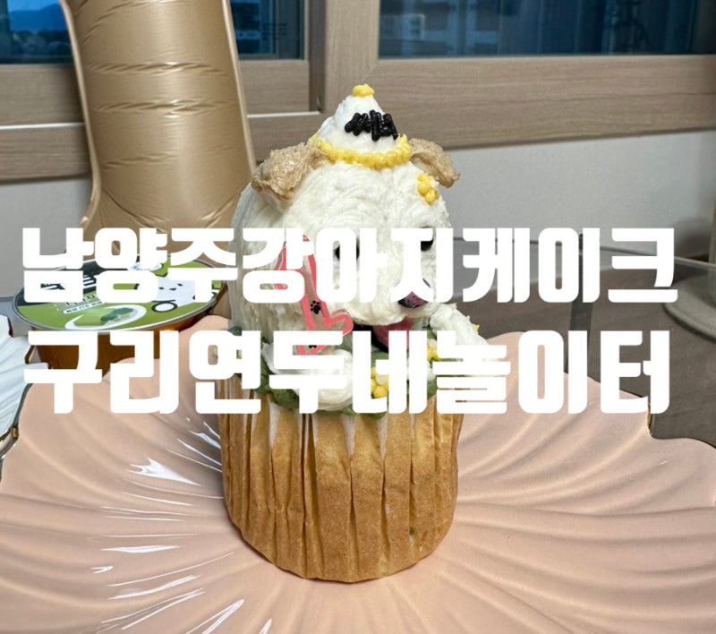 사진 5