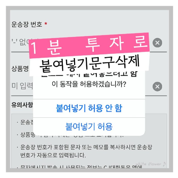  초간단 1분 투자로 아이폰 카카오뱅크 cj 붙여넣기 허용문구 안 뜨게 하는 법