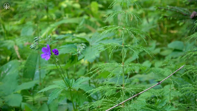  사주 오행 상생 , 명리심리상담사자격증 취득 정보 및 취업 전망